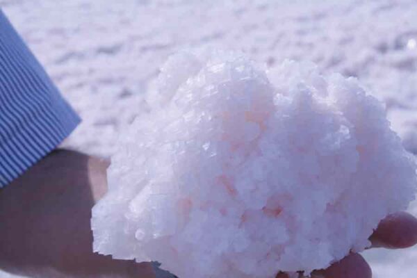 Sådan ser saltet ud når vi lige samler det op – lyserødt og i de store krystaller ses tydeligt. Ærgeligt det ikke kan holde formen